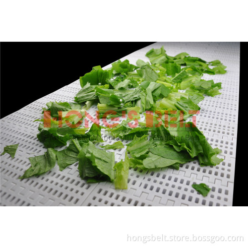 Vegetable Industry Modular Conveyor Belt